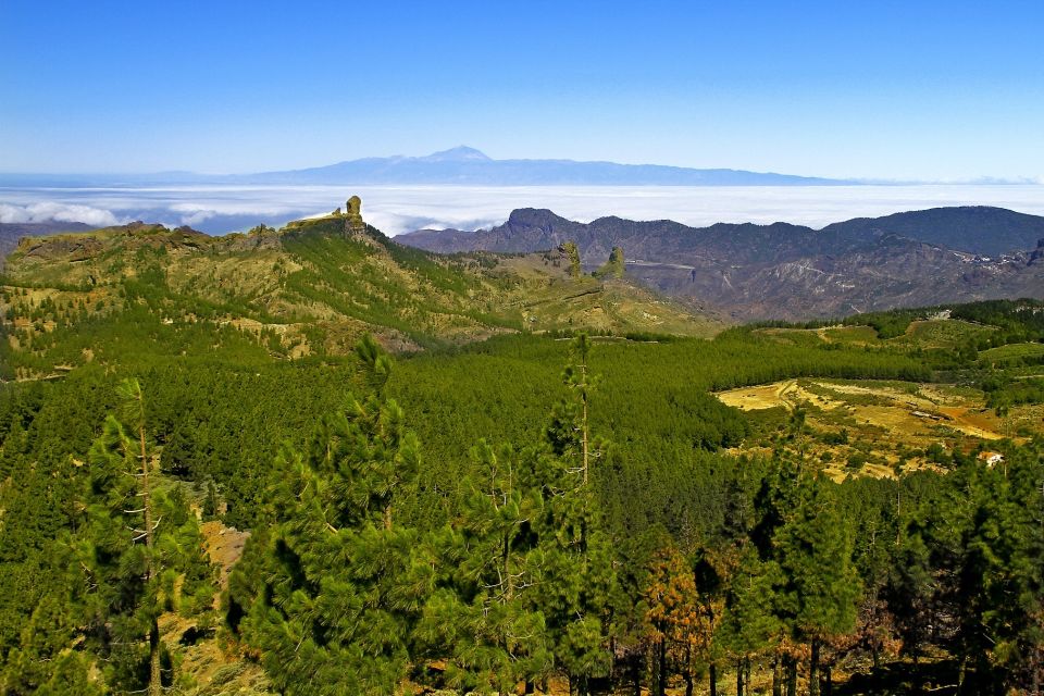 Gran Canaria: Full-Day VIP Tour by Bus - Pickup Information