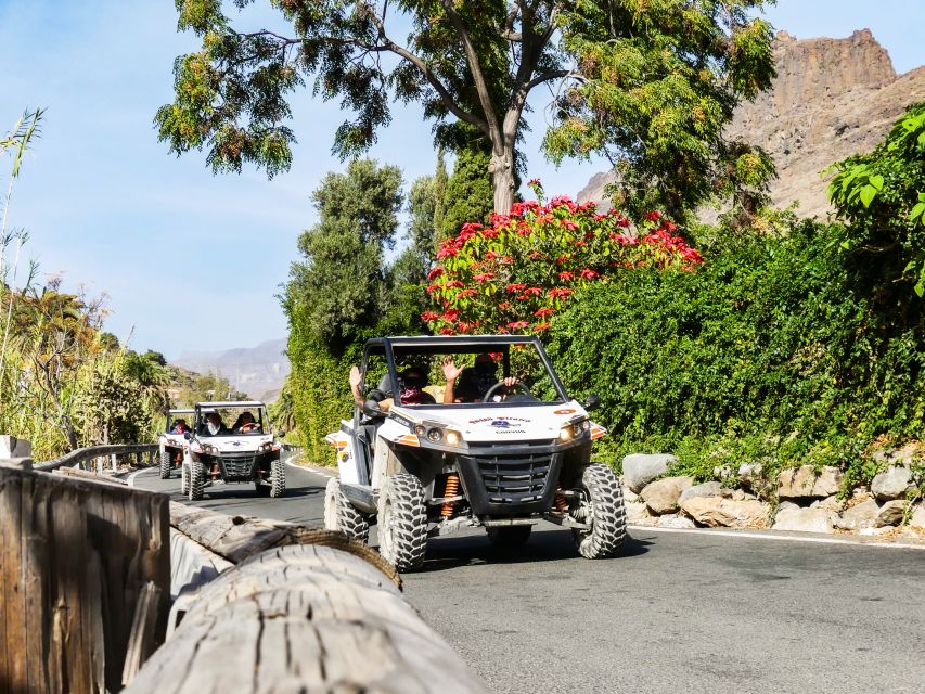 Gran Canaria Guided Buggy Tour - Participation Requirements