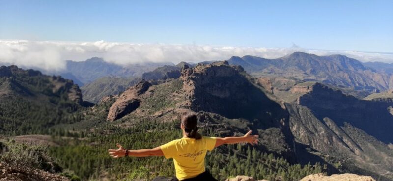 Gran Canaria: Highlights Tour Roque Nublo by 2 Native Guides - Pickup and Drop-off