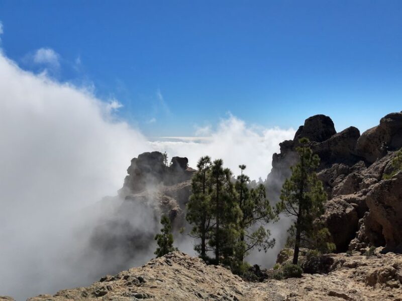 Gran Canaria: Peaks of Gran Canaria Hiking Tour - What to Bring and Important Information