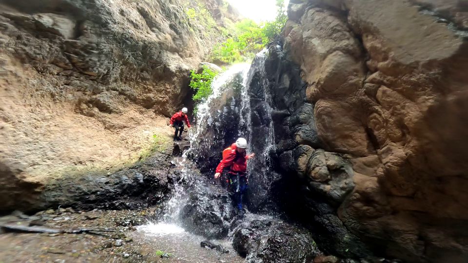 Gran Canaria: Rainforest Canyoning Tour With Gear and Snack - Participant Requirements