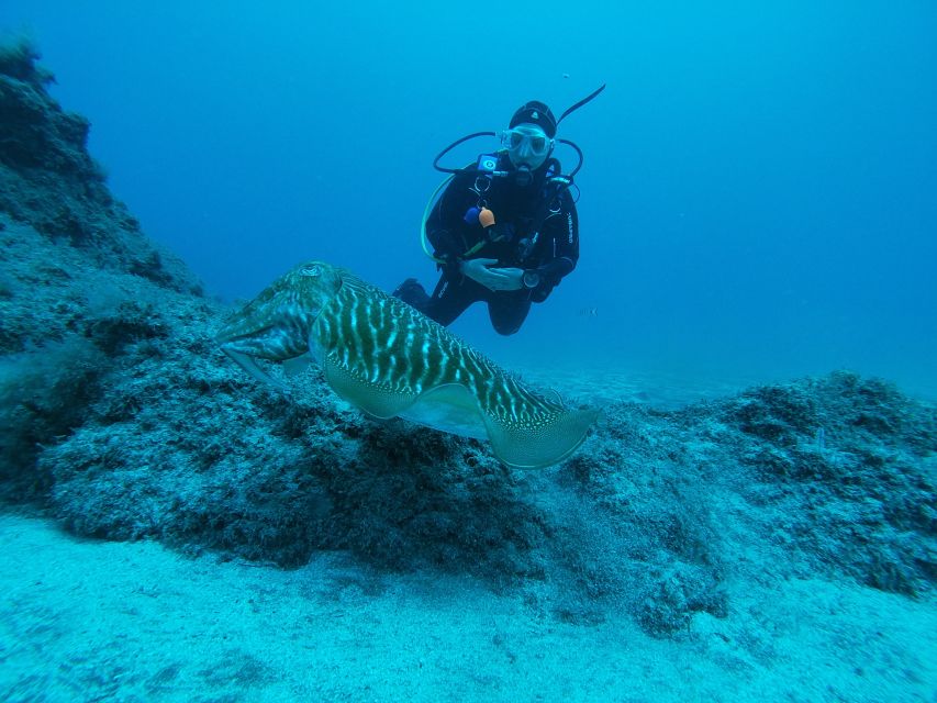 Gran Canaria: Try Scuba Diving for Beginners - Medical Restrictions and Considerations