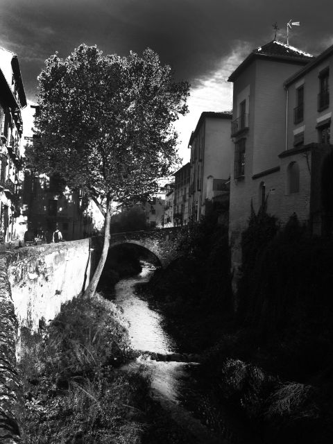 Granada Albaicín: 2.5-Hour Tapas & Drinks Walking Tour - Important Information
