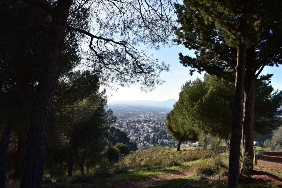 Granada: Alhambra Natural Park Hiking Tour - Participant Restrictions