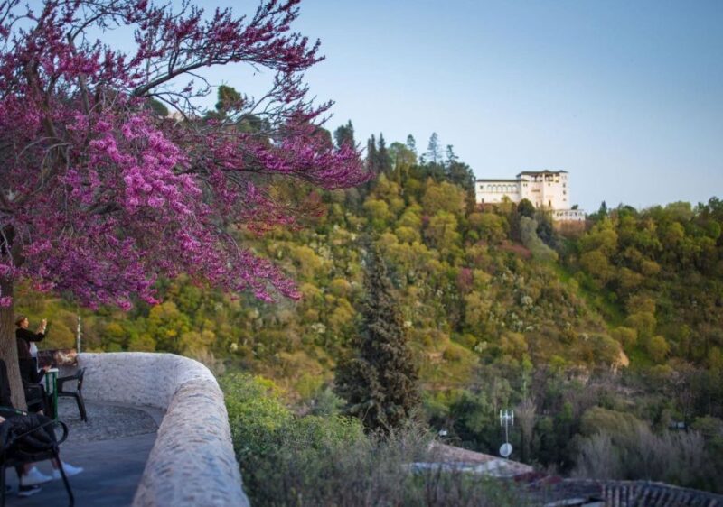 Granada: Half-Day 4-Neighborhoods 4-Cultures Private Tour - Inclusions