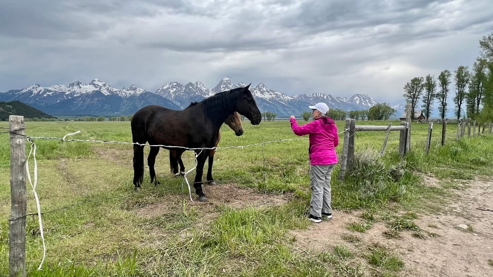 Grand Teton: Private Guided Tour (Sunrise) - Tips for a Great Experience