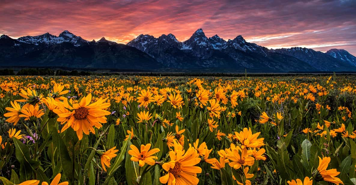 Grand Teton: Private Guided Tour (Sunset) - Additional Tour Inclusions