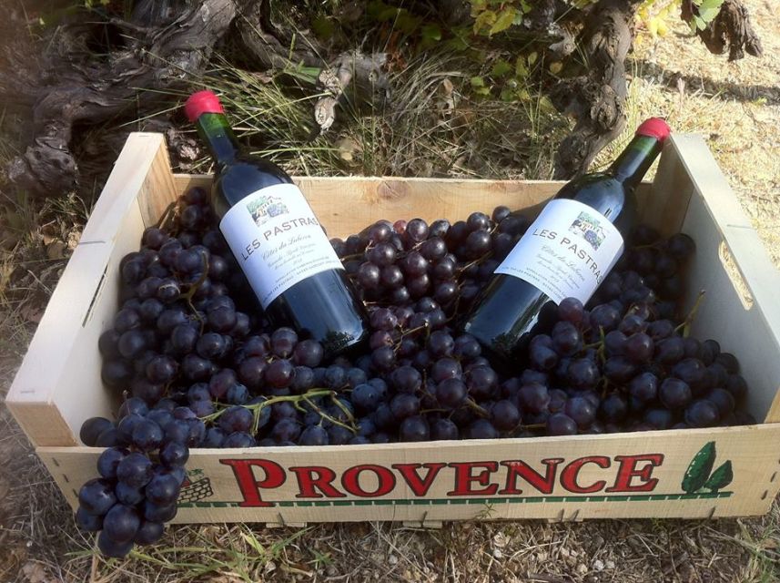 Grape Stomping in Provence - Guest Reviews and Feedback