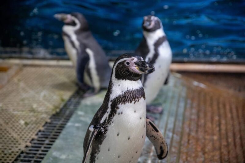 Great Plains Zoo - Educational and Conservation Programs