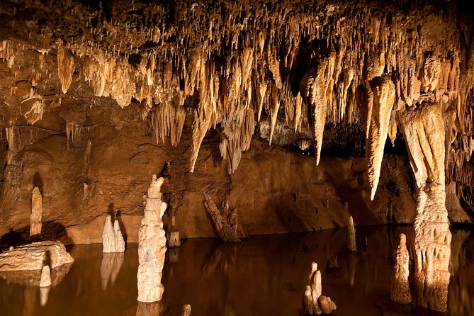 Green Grotto Caves Excursion From Ocho Rios - Local Dining Options