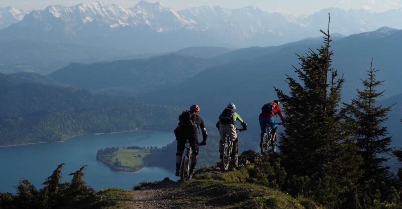 Grenoble: Electric Mountain Bike Rental - Accessories Included