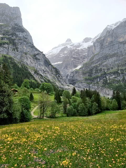 Grindelwalds Captivating Hike to Glacier Canyon - Natural Attractions Along the Way