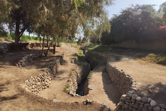 Guided Cantalloc Aqueduct Tour in Nazca - Small Group - What to Expect