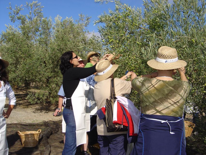 GUIDED TOUR OF THE OIL MILL AND WINERY - Wine Tasting and Education