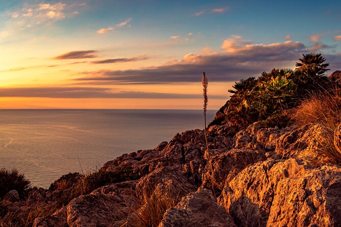 Guided Trike Tour in Mallorca in a Small Group - Exploring the Tramuntana Mountains