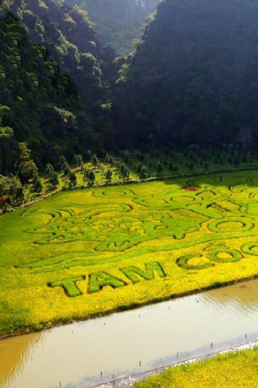 Ha Noi: Ninh Binh / Hoa Lu - Tam Coc - Mua Cave/ Small Group - Bamboo Boat Ride in Tam Coc