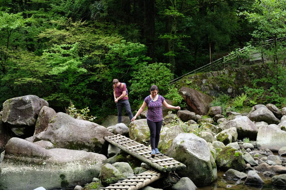 Hakone: Forest Bathing Hike With Lake Ashi and Mt. Fuji View - Meeting Point