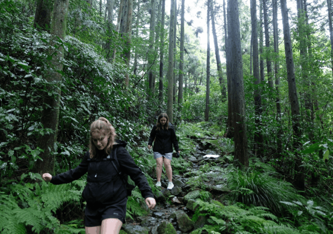 Hakone Hachiri: Old Tokaido Highway Hiking Tour - Recap