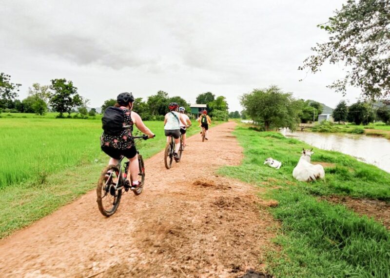 Half-day Cycling: Explore Battambang Countryside & Sunset - Inclusions and Benefits