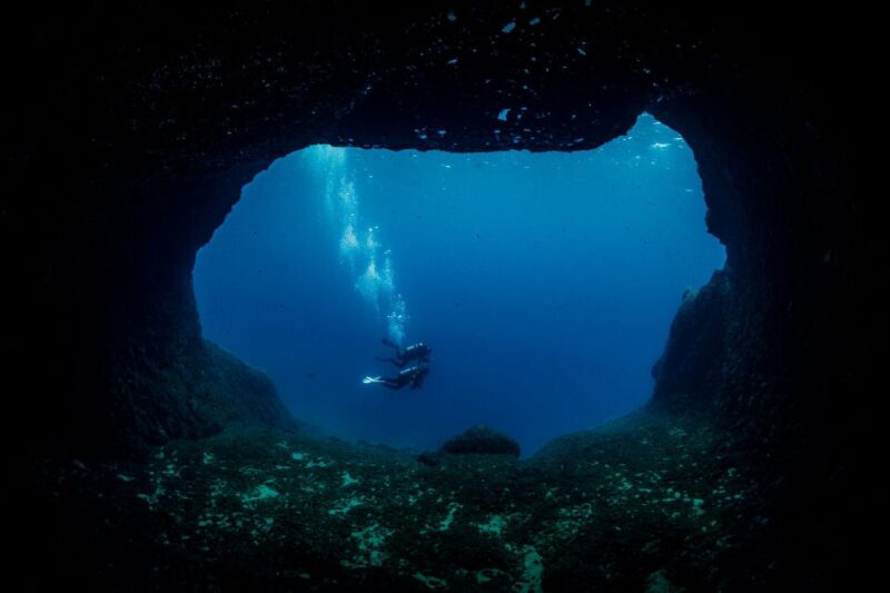 Half Day Dive Trip for Certified Divers - Safety and Restrictions