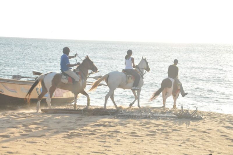 Half-Day Horse Riding in Kalpitiya - Inclusions