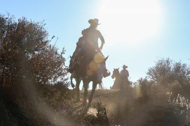 Half Day Horseback Riding Experience Through Joshua Tree - Cancellation Policy