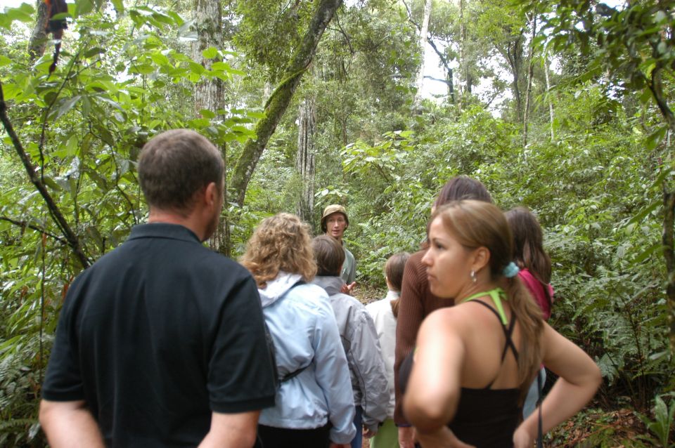 Half-Day Iguazú Forest Adventure - Whats Included