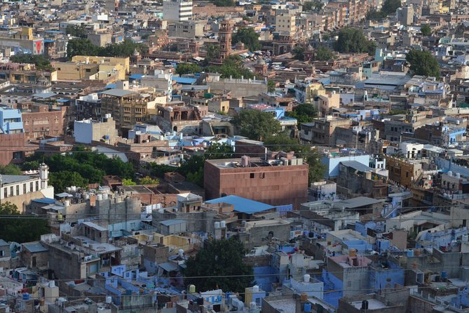 Half-day Jodhpur City Tour - Customer Reviews and Feedback