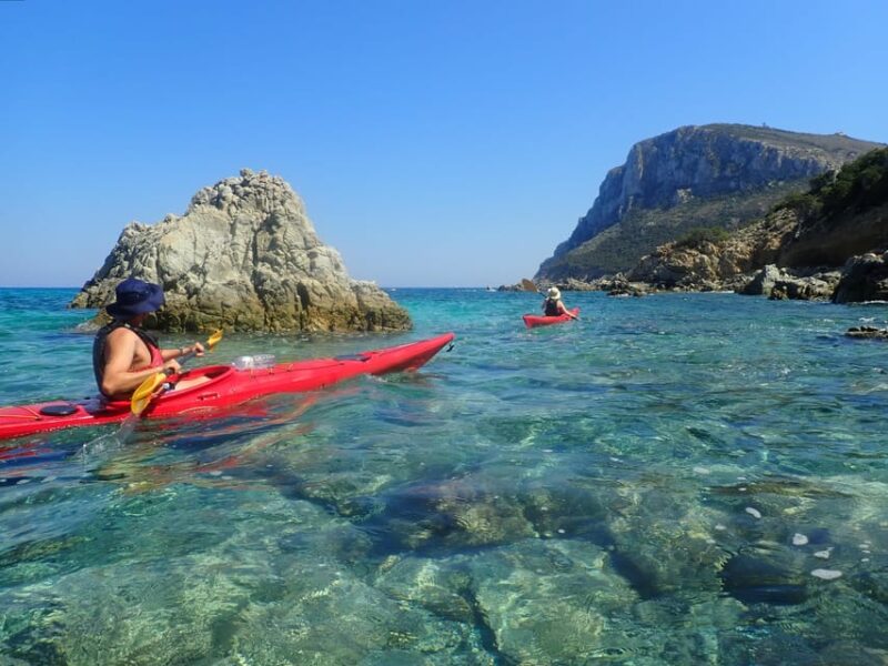 Half Day Kayak Tour of Capo Figari, Golfo Aranci (4 Hours) - Customer Reviews and Feedback