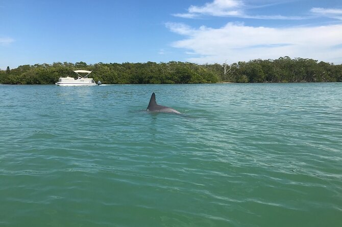 Half-Day Private Sarasota Charter Tour With Wildlife Watching - Guest Experiences and Reviews