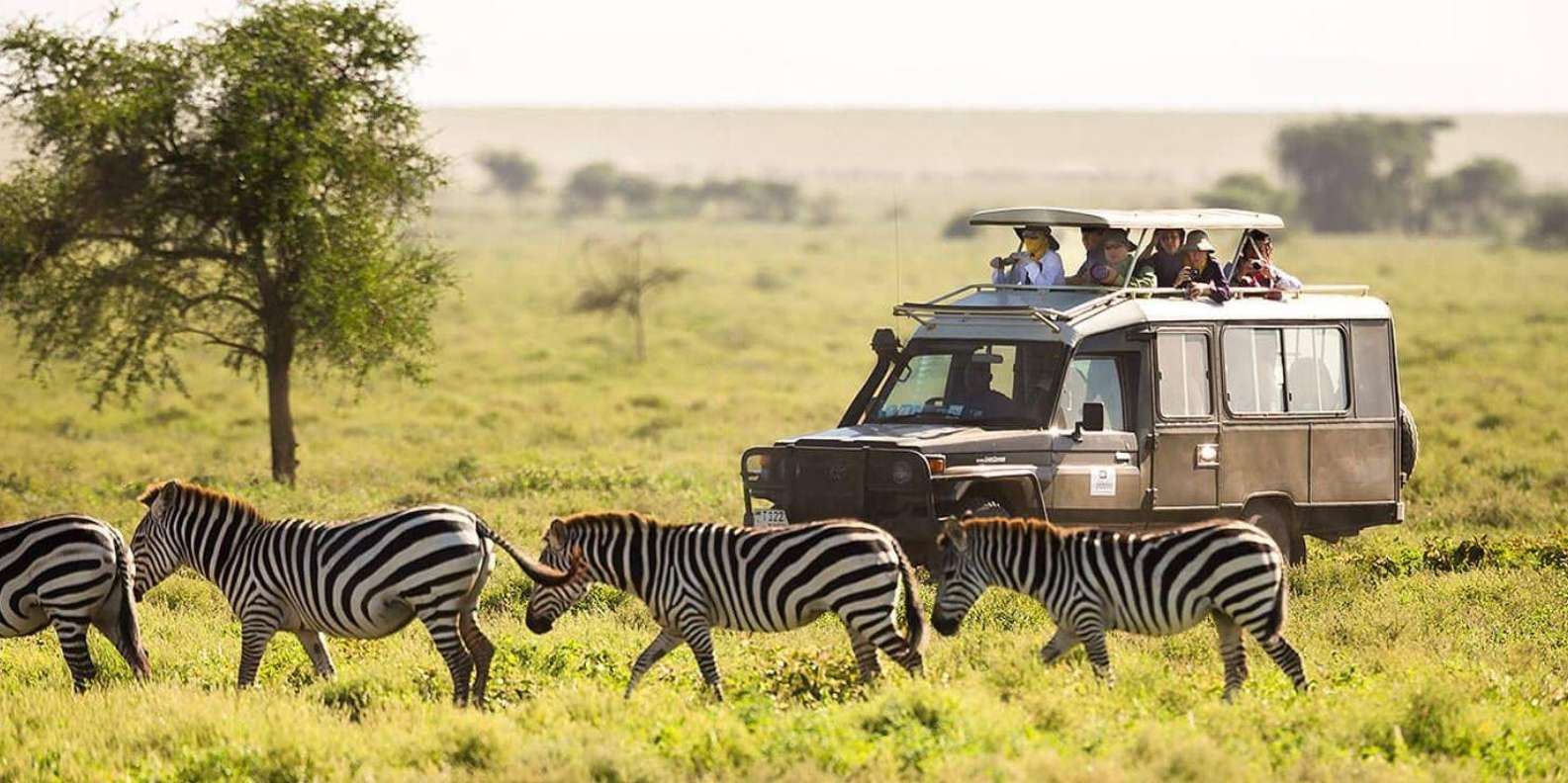 Half Day Safari Tour From Durban - Wildlife and Reptile Exploration