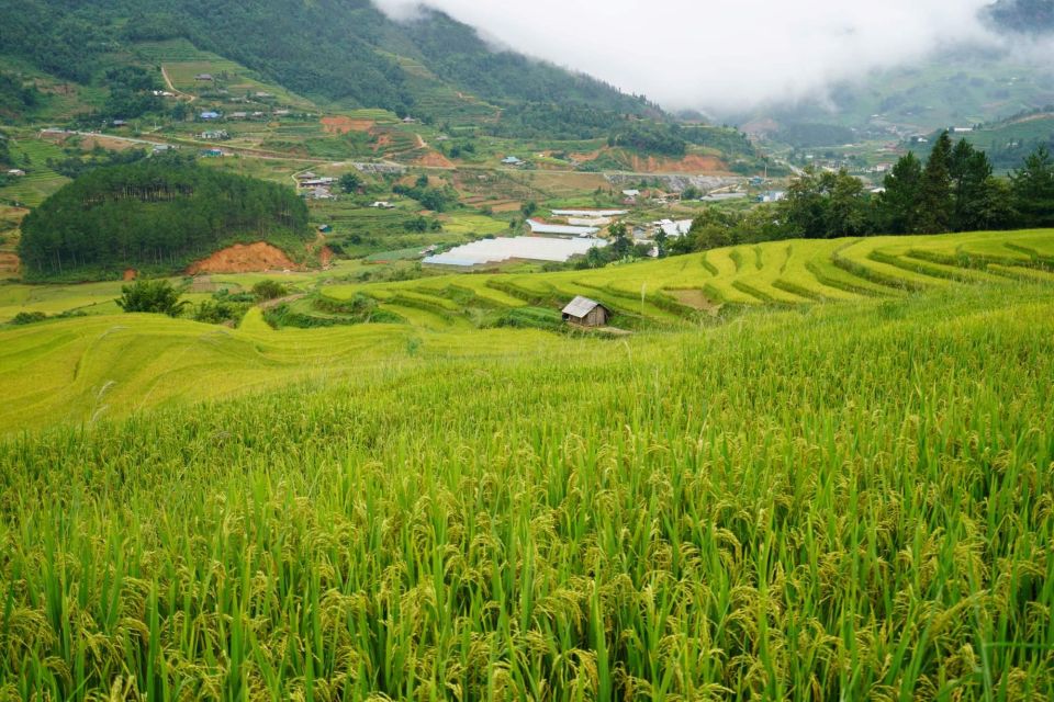 Half Day Sapa Trekking to Visit Lao Chai - Ta Van - Included Amenities