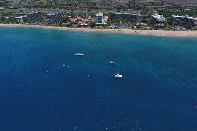 Half Day Snorkel in Lanai Island and Spinner Dolphin Search - Requirements and Restrictions