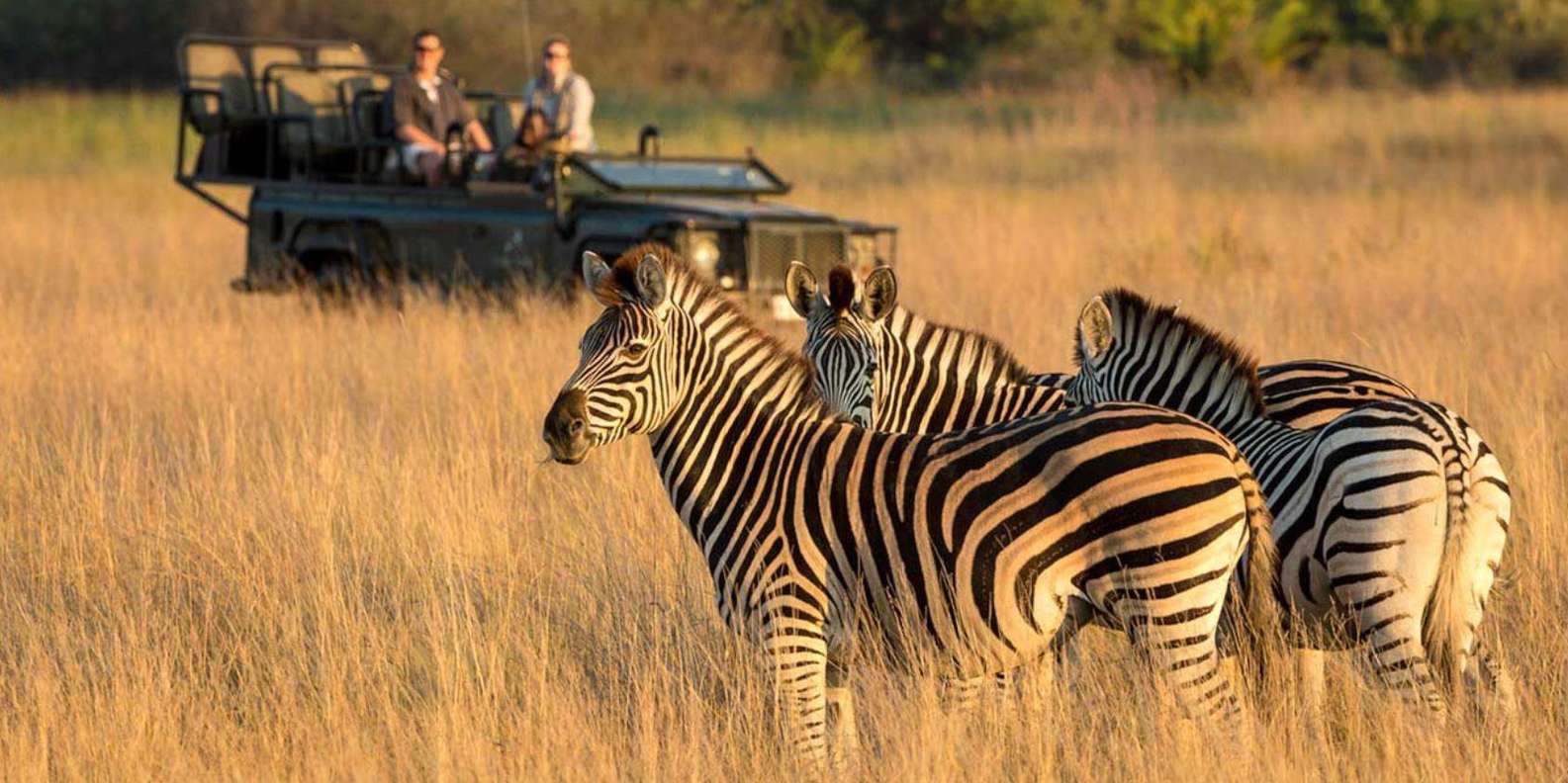 Half-Day Tala Game Reserve & Phezulu Safari Park From Durban - African Village Tour and Dance Show