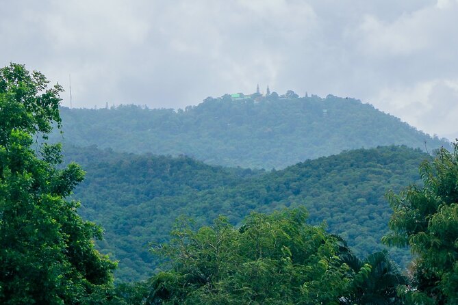 Half-Day Thai CookingClass at A Roi Dee Organic Farm in ChiangMai - Customization Options