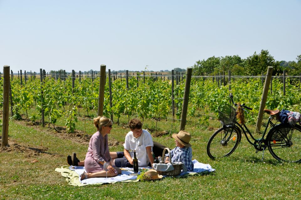 Hällåkra: Cycling or Hiking With Wine Tasting - Scenic Cycling Experience