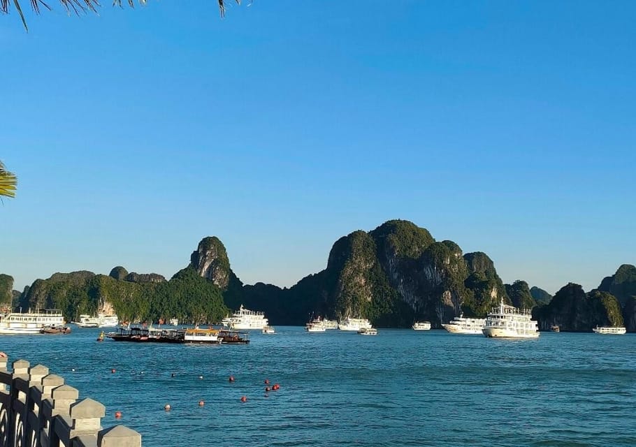 Halong Bay Luxury Day Cruise, Island, Caves, Kayak, Transfer - Inclusions and Exclusions