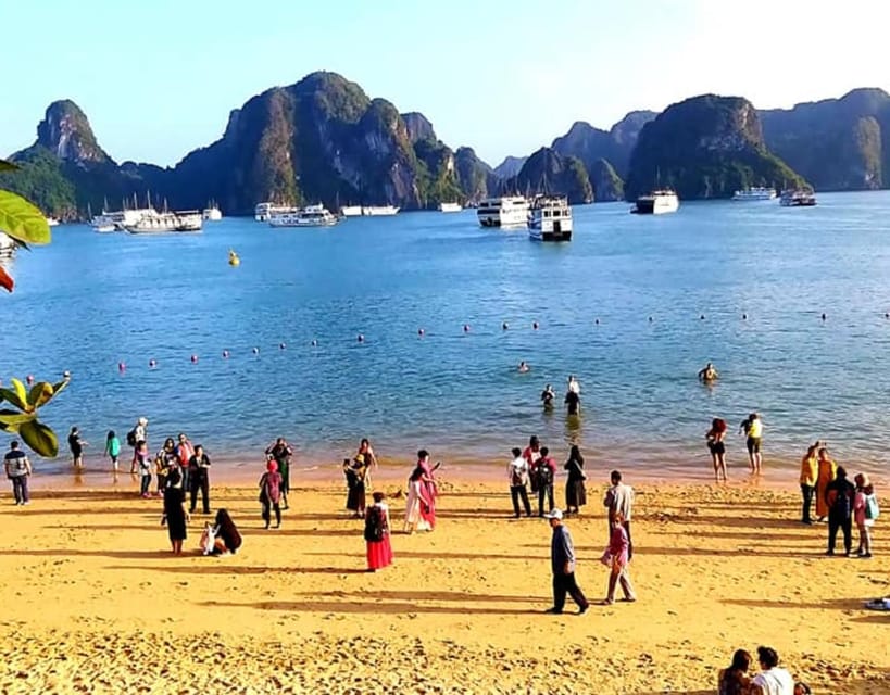 Halong Day Trip - 5 Star Cruise With Buffet Lunch, Transfer - Activities on the Cruise