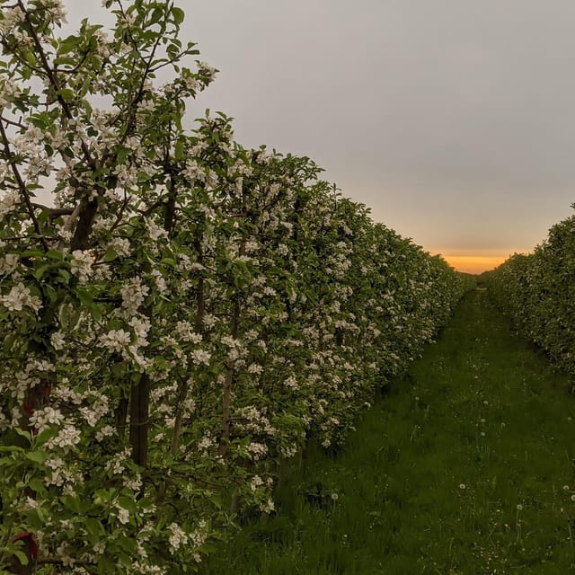 Hamburg Countryside - Old Country - Cultural Insights