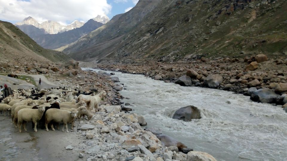 Hampta Pass With Chandrataal Trek By WDRLUST - Frequently Asked Questions