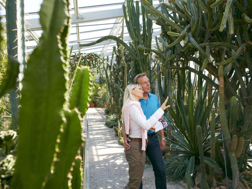 Hannover: Guided Tour of the Berggarten - Orchid Highlights