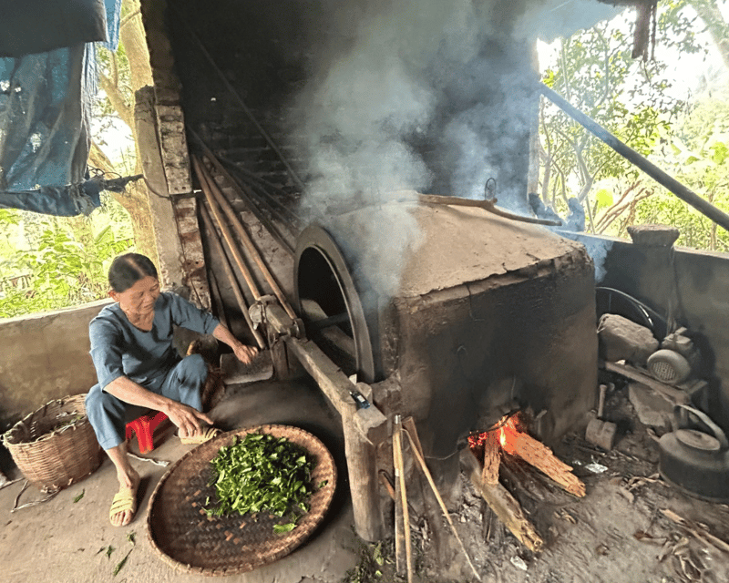 Hanoi Eco Tour: Ba Vi National Park Wonders & Tea Plantation - Inclusions