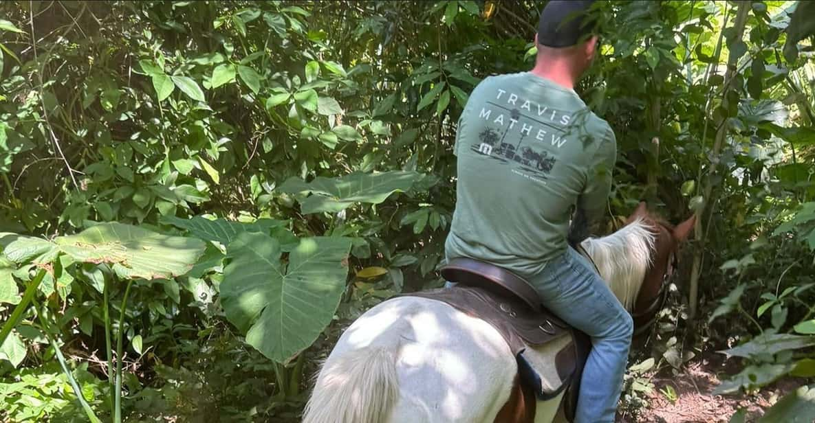 Harmony Horse Riding of Miami - Safety and Regulations