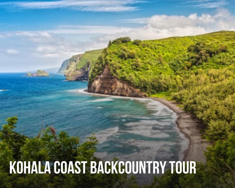 Hawaii Tour Bundle Collection: Oahu, Maui, Big Island, Kauai - Tour Flexibility and Accessibility