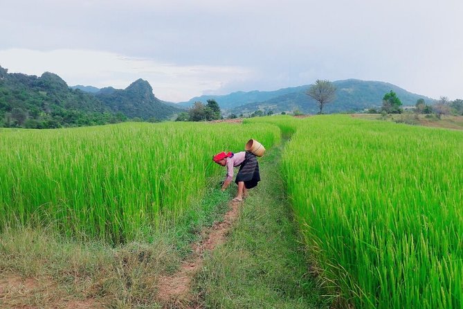 Hello, Who Like to Make Fantastic Trek With the Most Experienced Guide in Kalaw. - Cultural Interactions