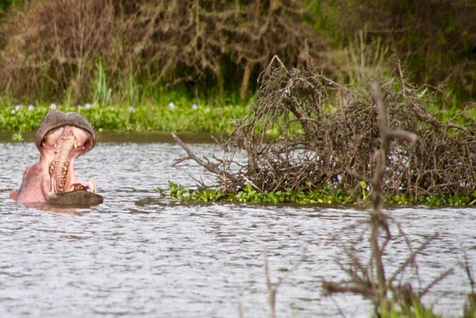 Hells Gate National Park Private Bike Tour From Nairobi - Pickup and Transportation Details