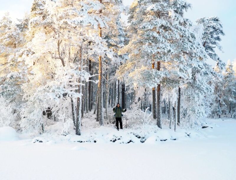 Helsinki: Winter Wonderland Liesjärvi National Park Hike - Accessibility and Limitations