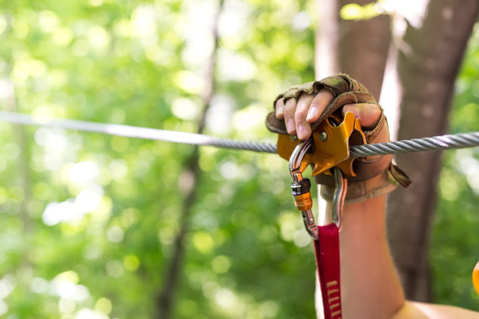 Henderson, Minnesota: 14-Line Zipline Canopy Tour - Equipment Provided