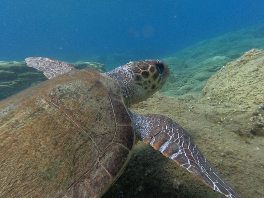 Heraklion: Beginner-Friendly Snorkeling Trip - Inclusions and Requirements