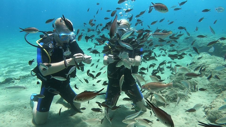 Heraklion: Beginner Scuba Diving Lesson With PADI Instructor - Informational Video and Depth Limit